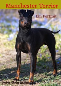 Manchester Terrier - Peter Bohrmann - ebook