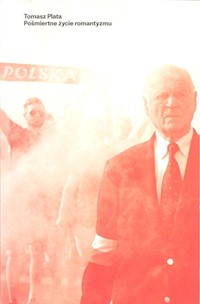 Pośmiertne życie romantyzmu - Plata Tomasz - książka