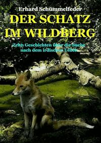 DER SCHATZ IM WILDBERG - Erhard Schümmelfeder - ebook
