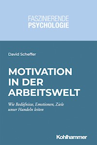 Motivation in der Arbeitswelt - David Scheffer - ebook