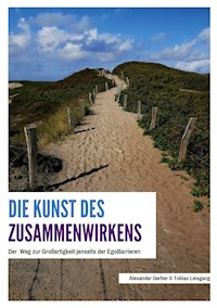 Die Kunst des Zusammenwirkens - Tobias Leisgang - ebook