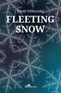 Fleeting Snow - Pavel Vilikovský - ebook