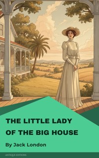 The Little Lady of the Big House - Jack London - ebook