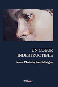 Un coeur indestructible - Jean-Christophe Galiègue - ebook