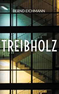 Treibholz - Bernd Eichmann - ebook