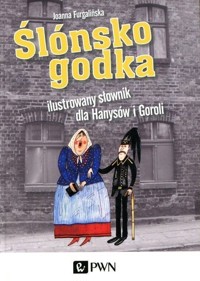 Ślónsko godka Ilustrowany słownik dla Hanysów i Goroli - Joanna Furgalińska - książka