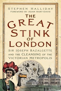 The Great Stink of London - Stephen Halliday - ebook