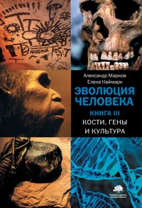 Эволюция человека. Кн. 3. Кости, гены и культура - Александр Марков - ebook