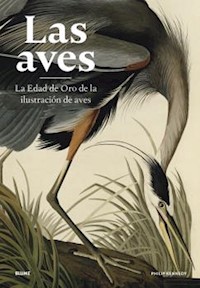 Las aves - Kennedy Philip - ebook