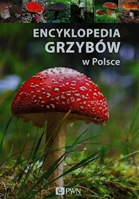 Encyklopedia grzybów w Polsce - Kamiński Wiesław, Flaczyńska Malwina - książka