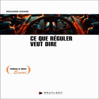 Ce que réguler veut dire - Benjamin Lehaire - ebook