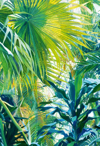 Dobra wiadomość - Rochowiak Jerzy - książka