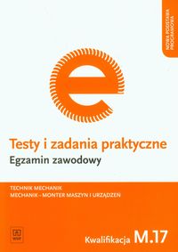 Testy i zadania praktyczne Egzamin zawodowy Technik mechanik - Łuszczak Marek - książka