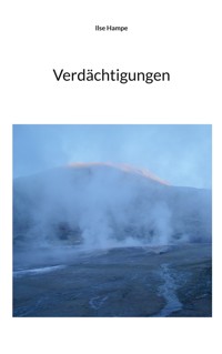 Verdächtigungen - Ilse Hampe - ebook