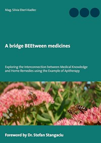 A bridge BEEtween medicines - Silvia Eberl-Kadlec - ebook