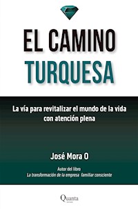 El camino turquesa - José Mora - ebook