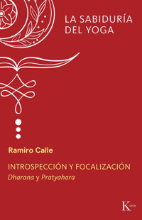 Introspección y focalización - Ramiro Calle - ebook