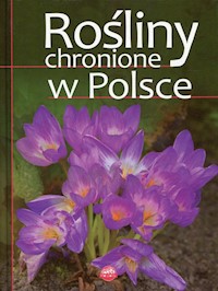Rośliny chronione w Polsce - Sieńko-Holewa Izabella - książka