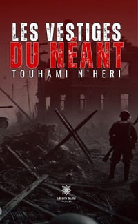 Les vestiges du néant - Touhami N'heri - ebook