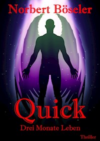 Quick - Norbert Böseler - ebook