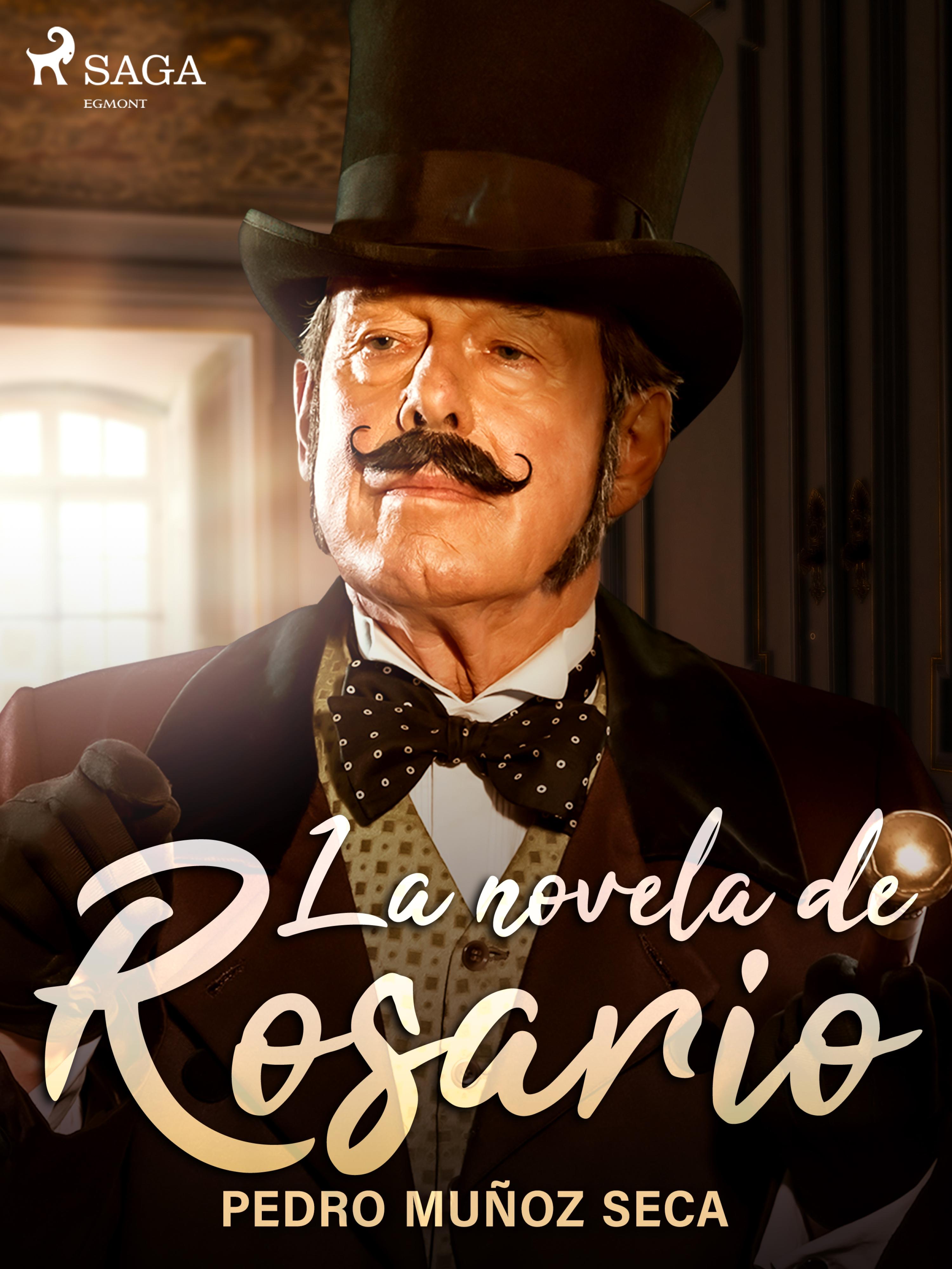 La novela de Rosario