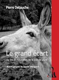Le grand écart - Pierre Debauche - ebook