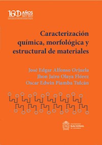 Caracterización química, morfológica y estructural de materiales - José Edgar Alfonso Orjuela - ebook