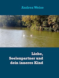 Liebe, Seelenpartner und dein inneres Kind - Andrea Weise - ebook