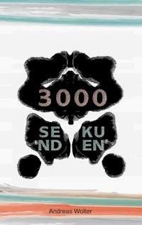 3000 Sekunden - Andreas Wolter - ebook