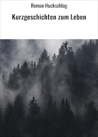 Kurzgeschichten zum Leben - Roman Huckschlag - ebook