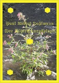 Der Ritterinnenspiegel - Paul Tobias Dahlmann - ebook