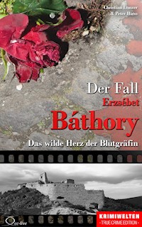 Der Fall Erzsébet Báthory - Christian Lunzer - ebook