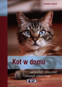 Kot w domu - Juritsch Angelika - książka