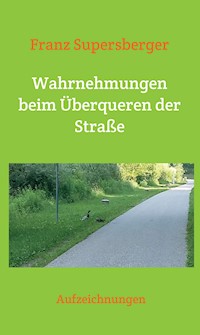 Wahrnehmungen beim Überqueren der Straße - Franz Supersberger - ebook