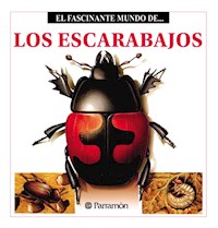 Los Escarabajos - Maria Àngels Julivert - ebook