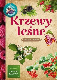 Krzewy leśne Edukacja i zabawa - Hryniewicki Tomasz - książka