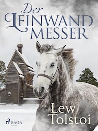 Der Leinwandmesser - Lew Tolstoi - ebook