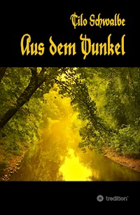 Aus dem Dunkel - Tilo Schwalbe - ebook