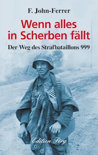 Wenn alles in Scherben fällt - F. John-Ferrer - ebook