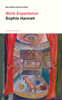 Work Experience - Hannah Sophie - ebook