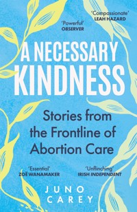 A Necessary Kindness - Juno Carey - ebook