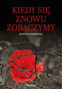 Kiedy się znowu zobaczymy - Sadowska Danuta - ebook + książka