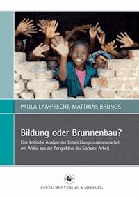 Bildung oder Brunnenbau? - Matthias Brungs - ebook
