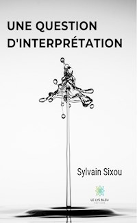 Une question d'interprétation - Sixou Sylvain - ebook