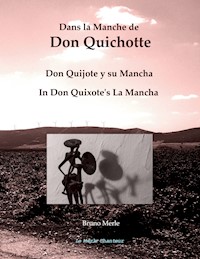 Dans la Manche de Don Quichotte - Bruno Merle - ebook