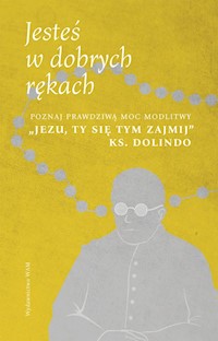 Jesteś w dobrych rękach - Wilczyński Karol - książka