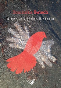 Więcej niż jedna historia - Świech Dominika - książka