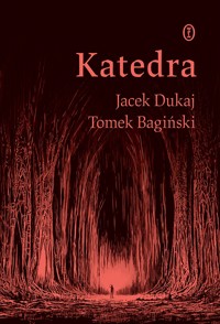 Katedra (wydanie graficzne) - Jacek Dukaj, Tomek Bagiński - ebook + książka
