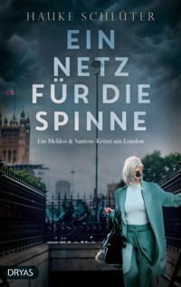 Ein Netz für die Spinne - Hauke Schlüter - ebook