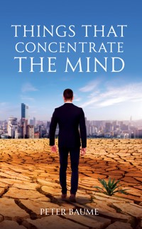 Things that Concentrate the Mind - Peter Baume - ebook